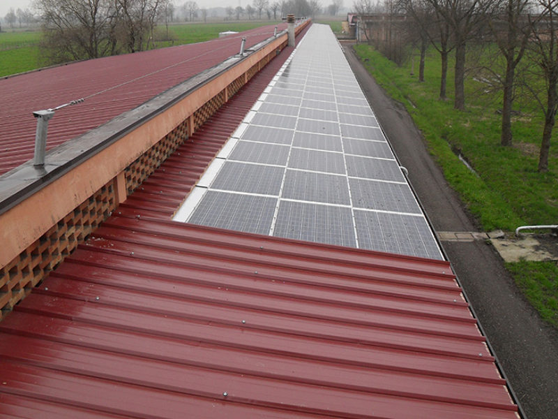 Fasani Co.Prog. – Coperture