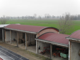 Fasani Co.Prog. - Realizzazioni Coperture